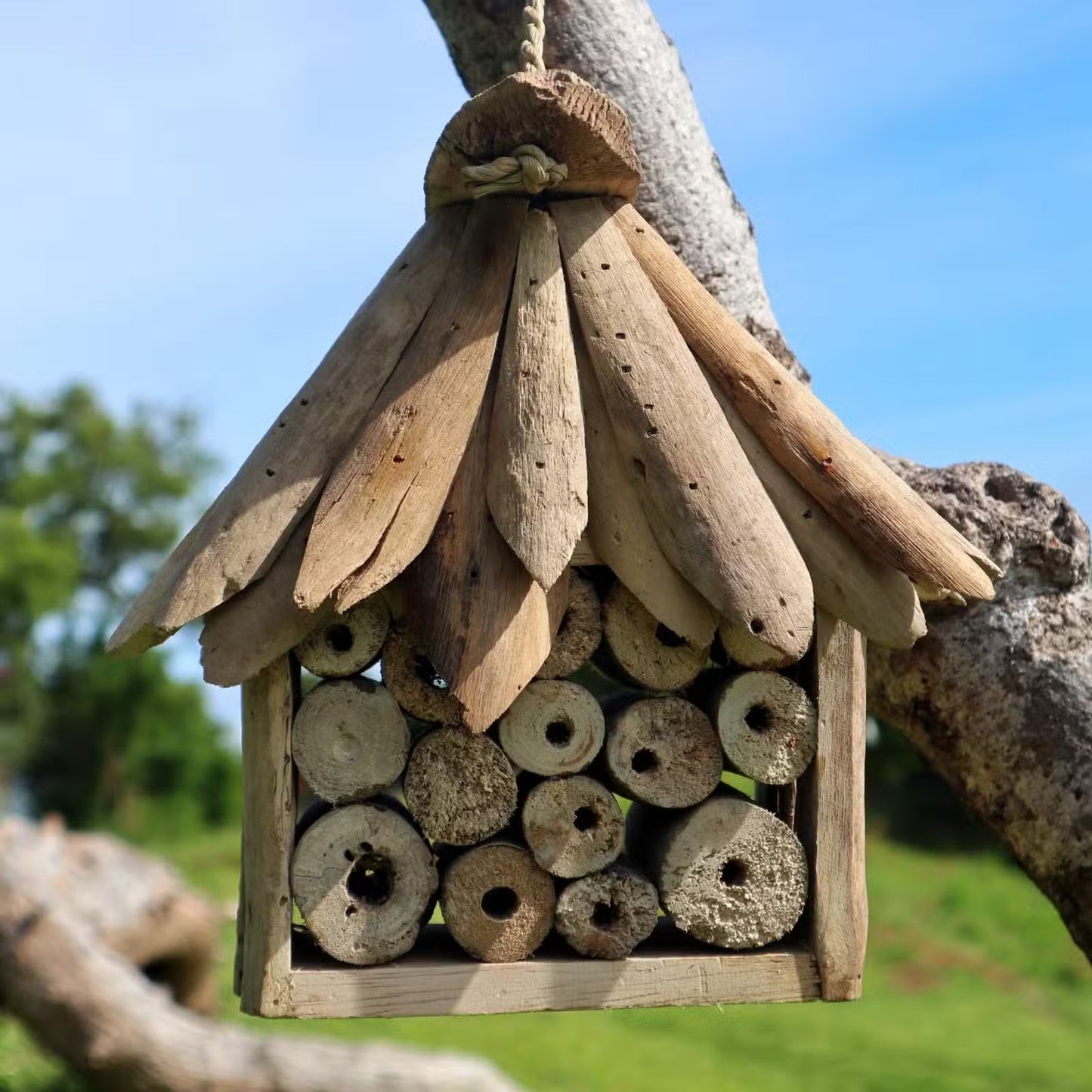 Garden Harmony – Driftwood Bird & Insect House
