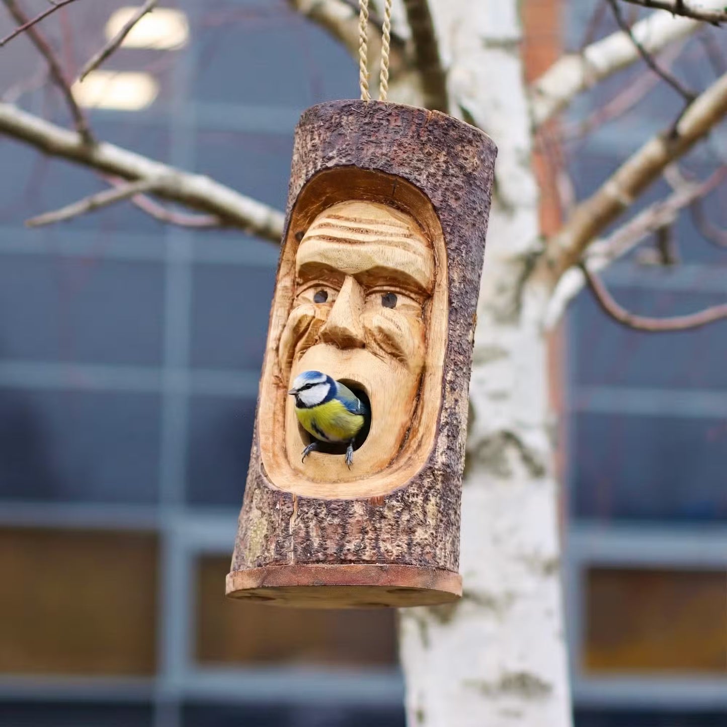 Grumpy Guardian - Tree Trunk Bird House
