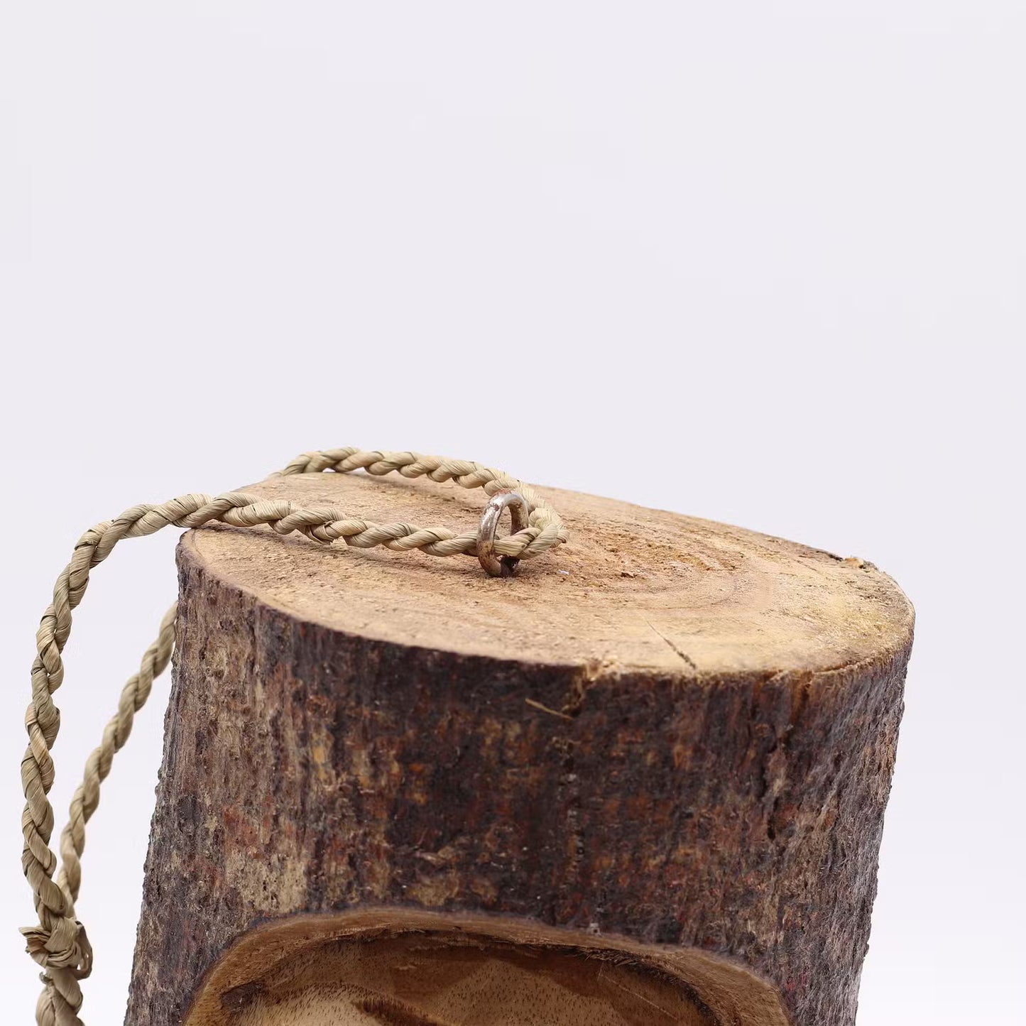 Grumpy Guardian - Tree Trunk Bird House