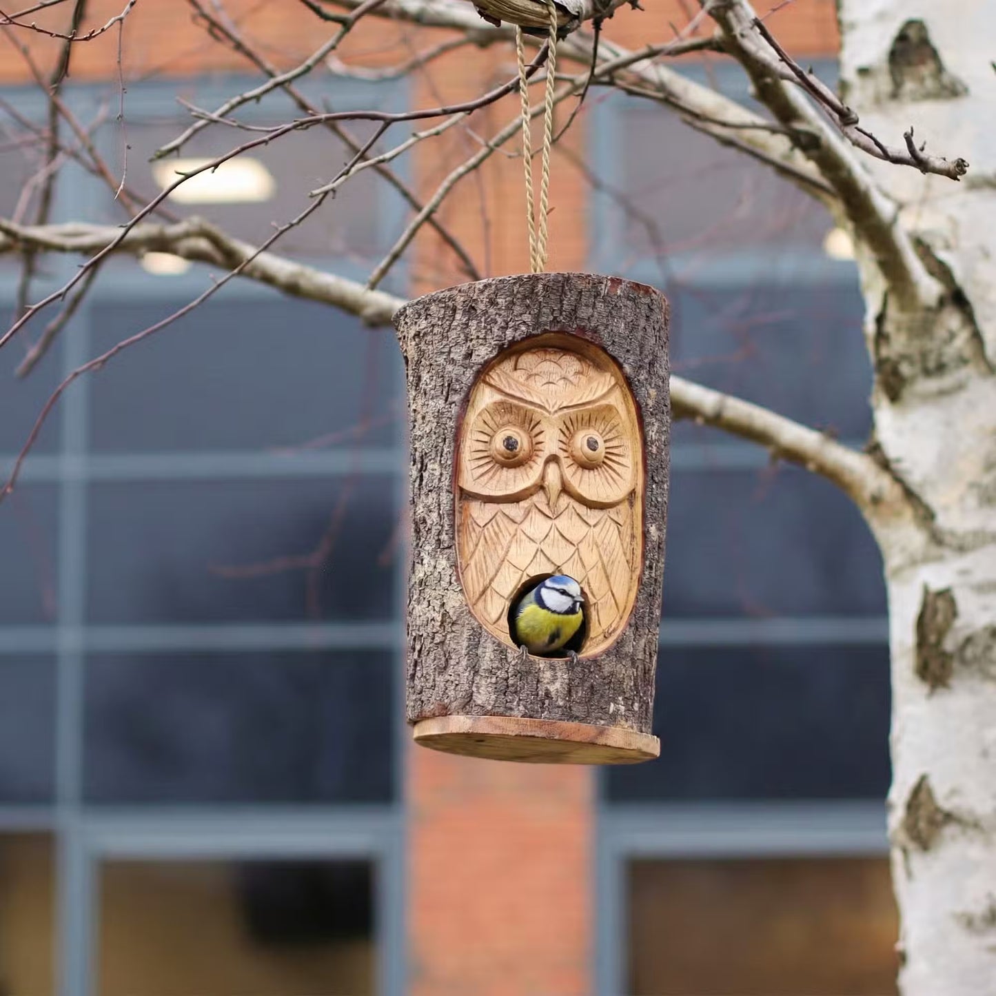 Wise Watcher - Owl Carved Tree Trunk Bird House