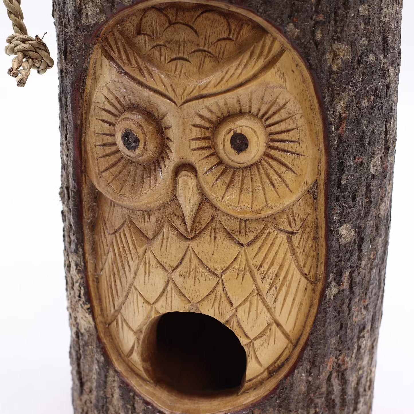 Wise Watcher - Owl Carved Tree Trunk Bird House