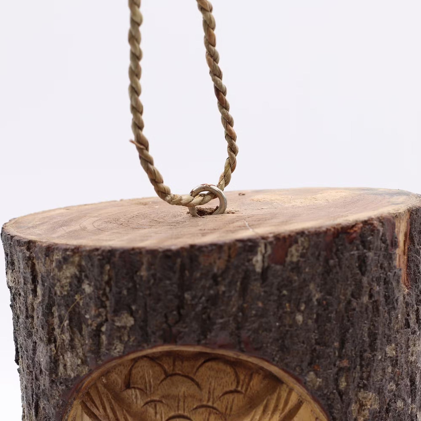 Wise Watcher - Owl Carved Tree Trunk Bird House