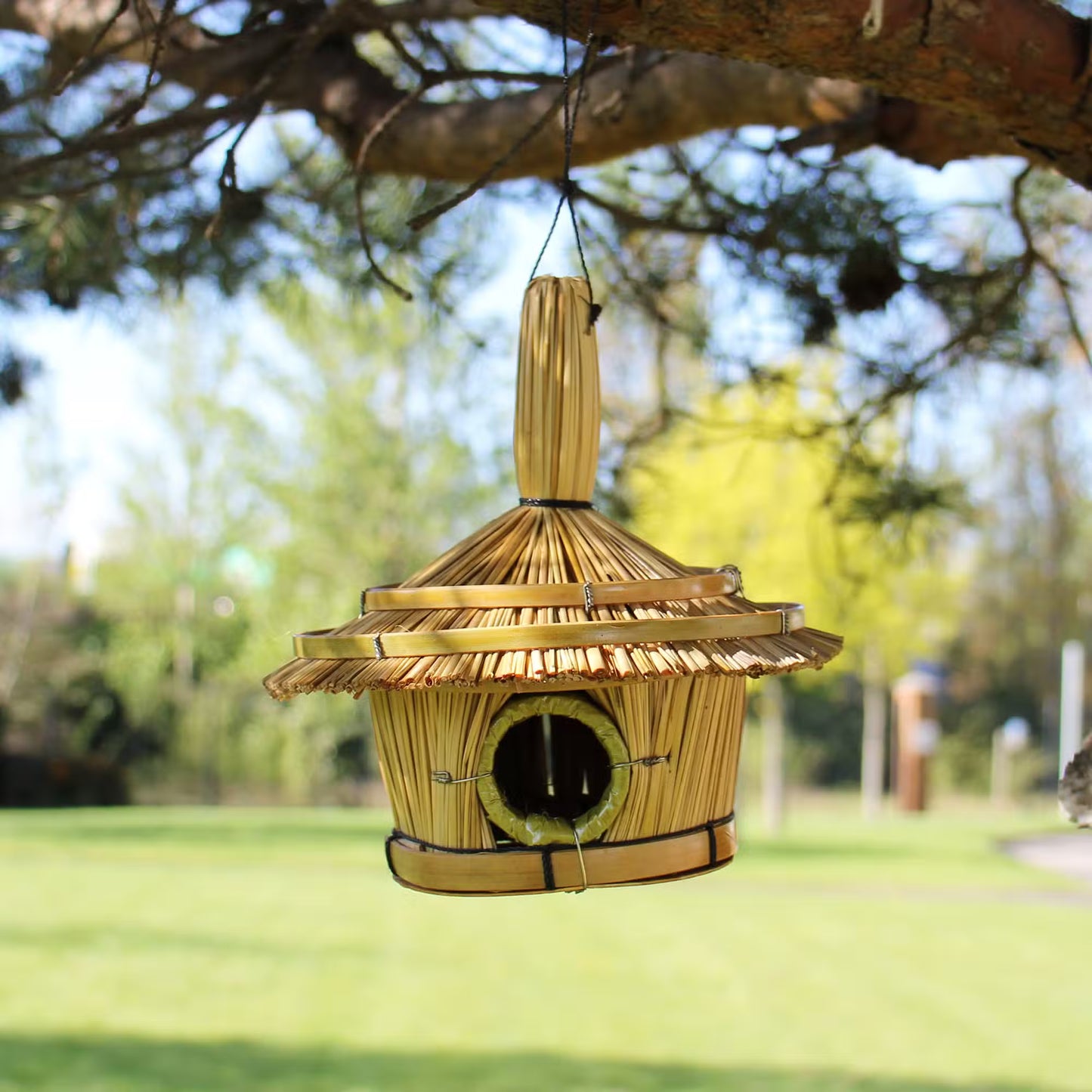 Willow Nest Seagrass Bird Box